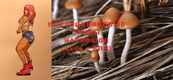 синтетический гашиш Переславль-Залесский