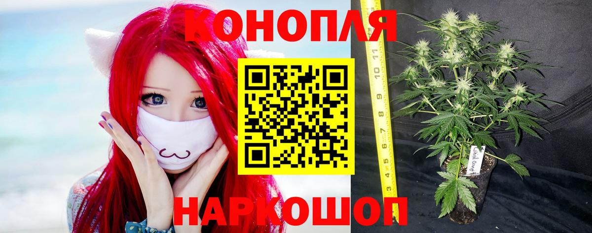 Конопля MAZAR Серов